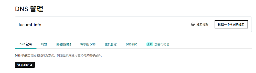 “GoDaddy添加新记录按钮”