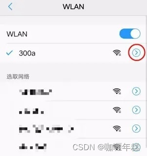 DNS设置